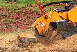 Best Tree Mulching  in Mahopac, NY
