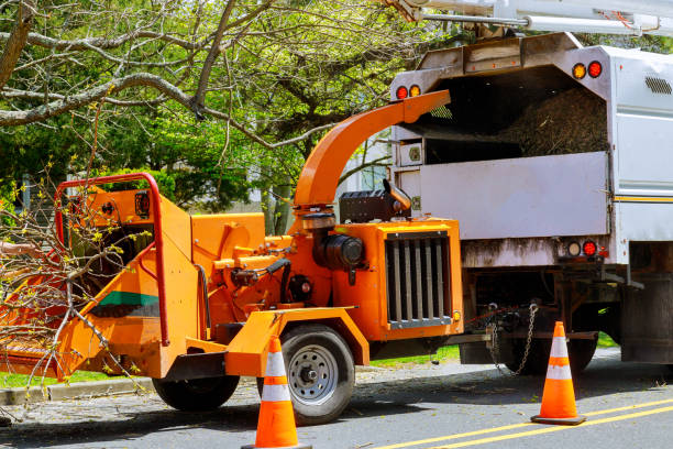 Mahopac, NY Tree Services Company