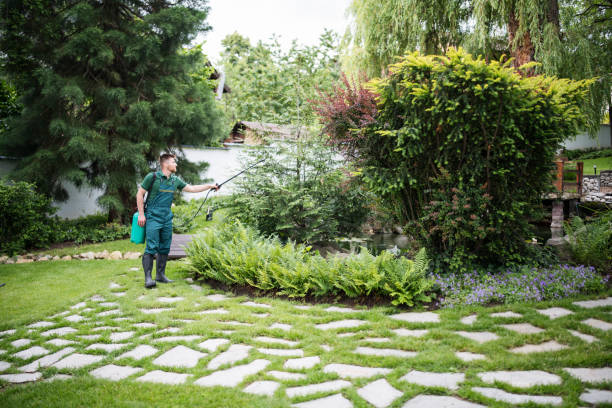 Best Stump Grinding and Removal  in Mahopac, NY