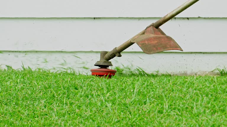 Best Tree Health Inspection  in Mahopac, NY