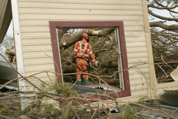 Best Fruit Tree Pruning  in Mahopac, NY